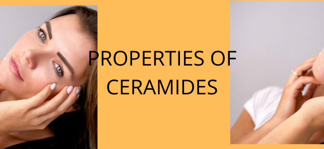 skincare ingredients ceramides